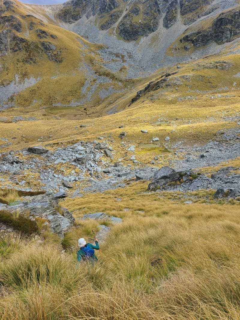fun descent down tussock and snow grass