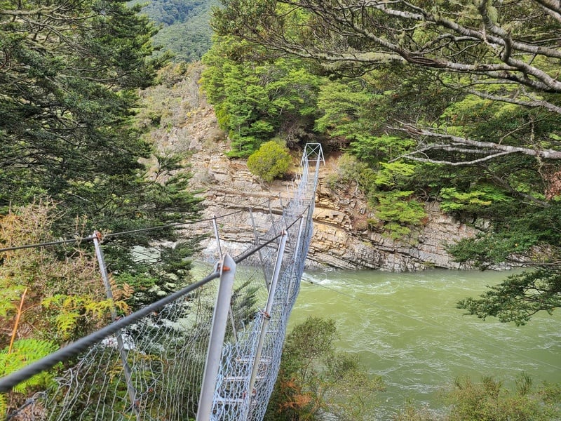 swingbridge over the aparima river