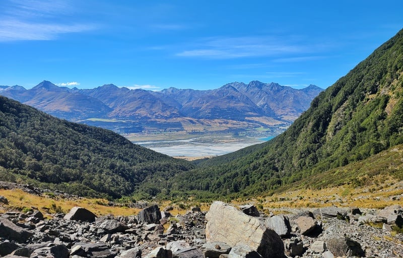 views of dart river and glenorchy