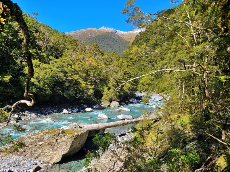 blue water in makarora river