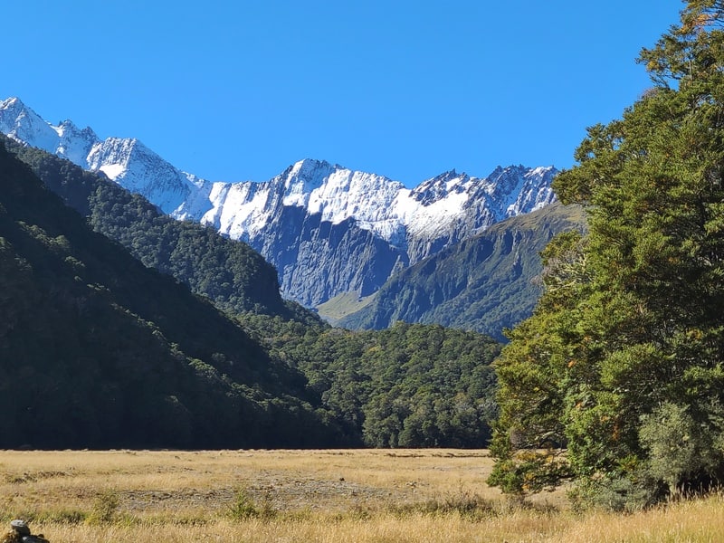 glaciers above makarora river