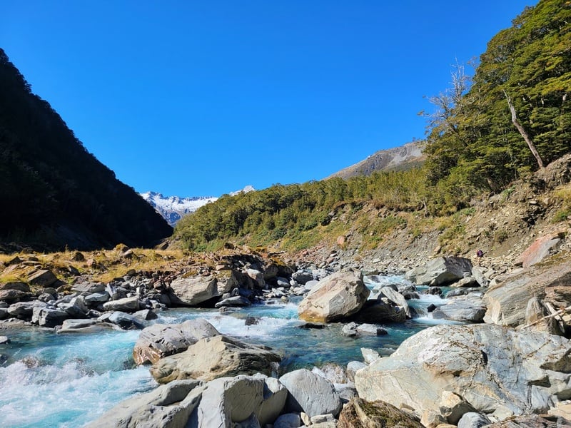 makarora river next to the track