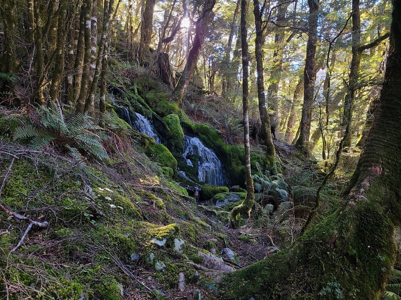 small water in makarora valley