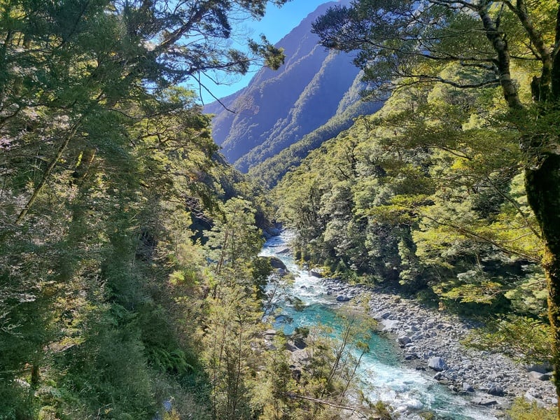 the makarora river