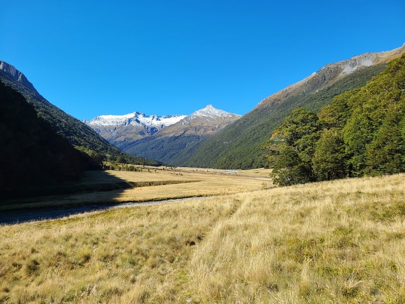 the makarora valley track