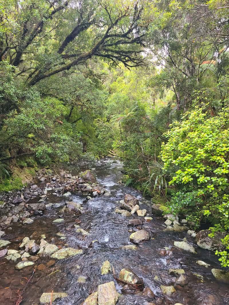 Waiora stream