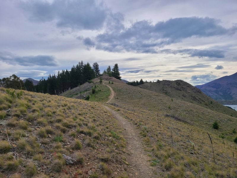 benmore peninsula circuit