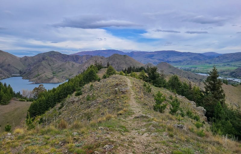 ridge on Benmore peninsula walk