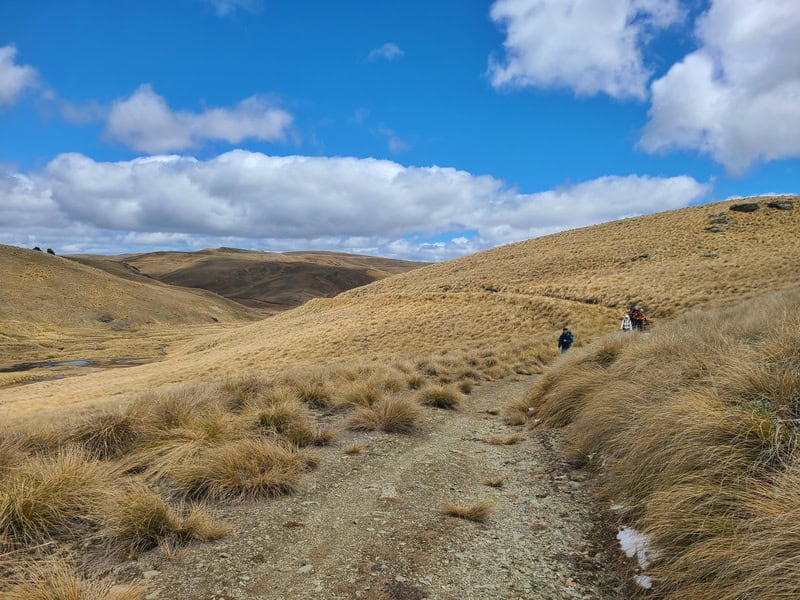 the Kirtle Burn Hut track