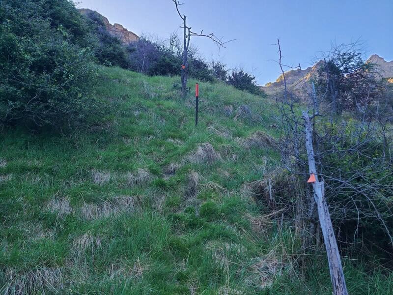 final incline before bullendale hut