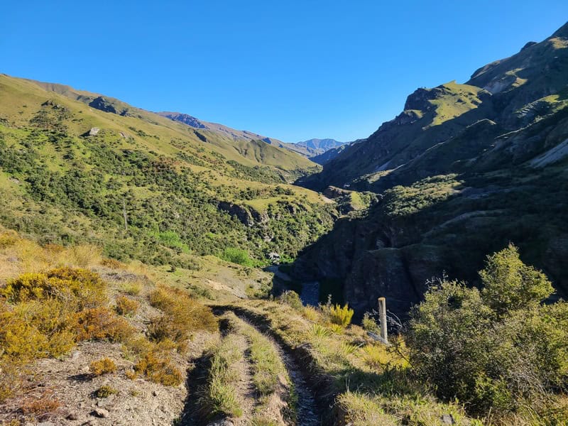 hiking on the bullendale Hut track