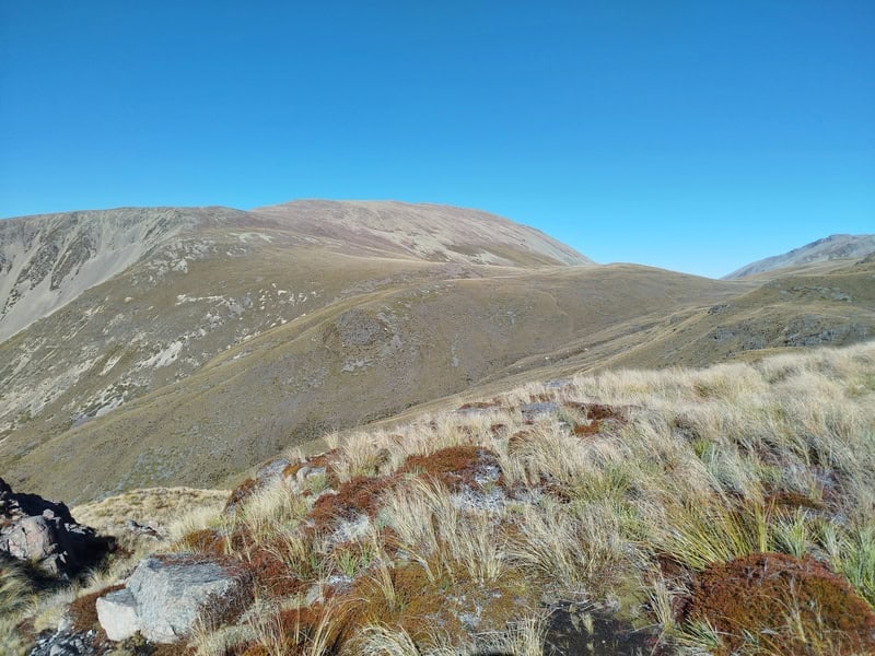 canterbury hill country