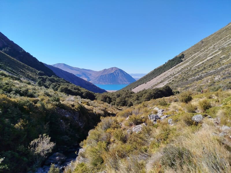 on the Te araroa