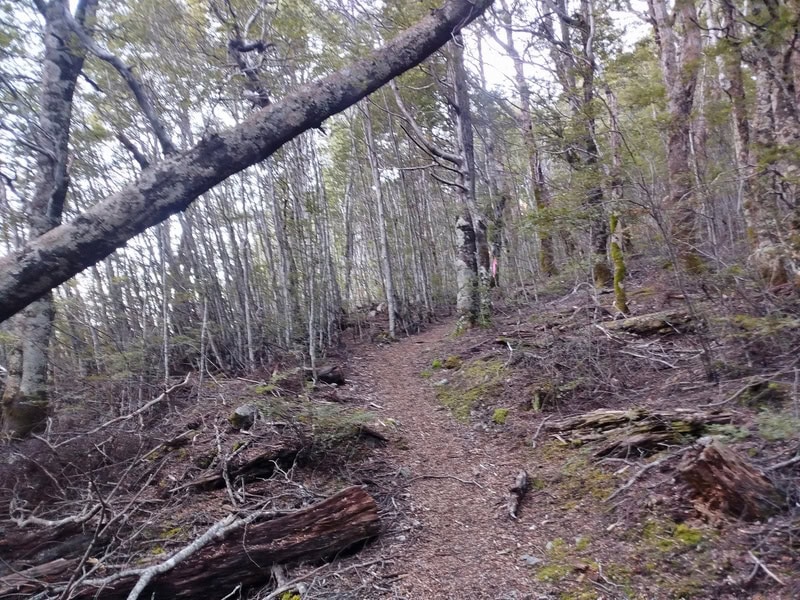 south Temple track