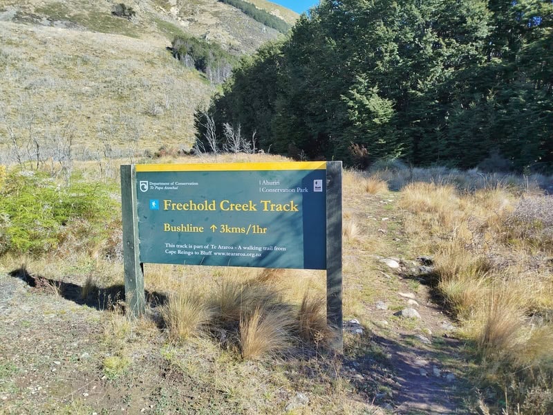 start of the freehold creek track