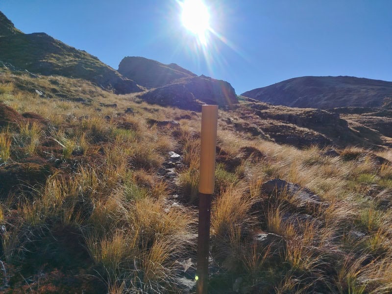 yellow route markers