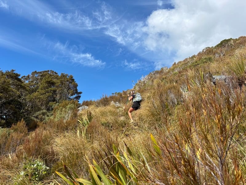 above the treeline nearing the mataketake ridgeline
