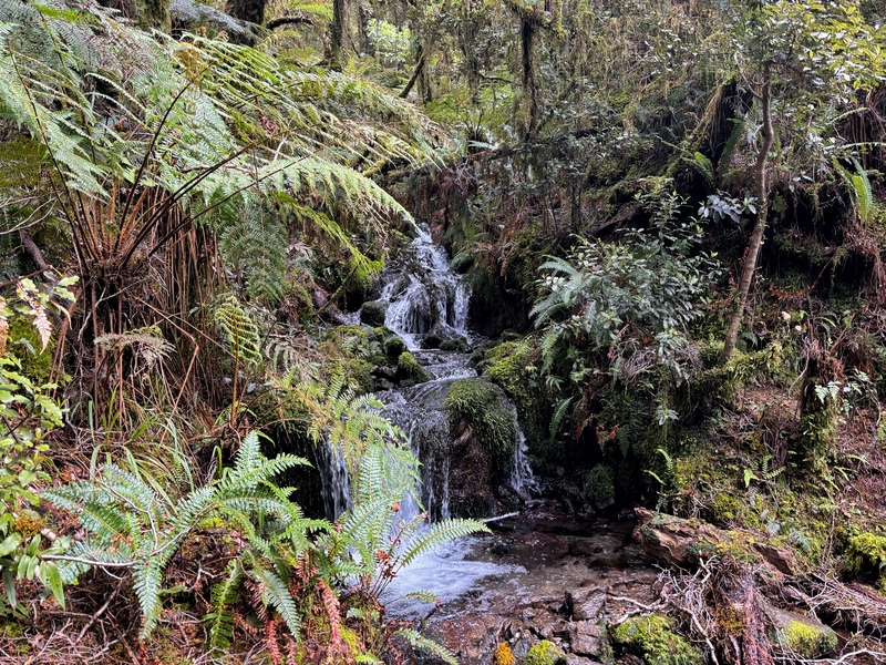 beautiful little waterfall