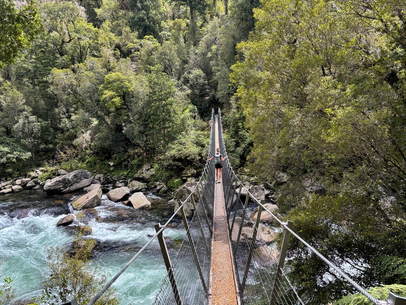 bridge over the moeraki river