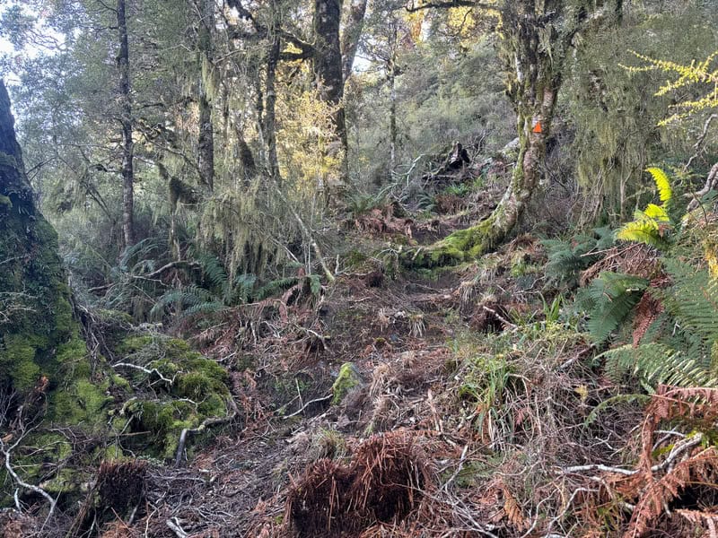 gnarly terrain on maori saddle route