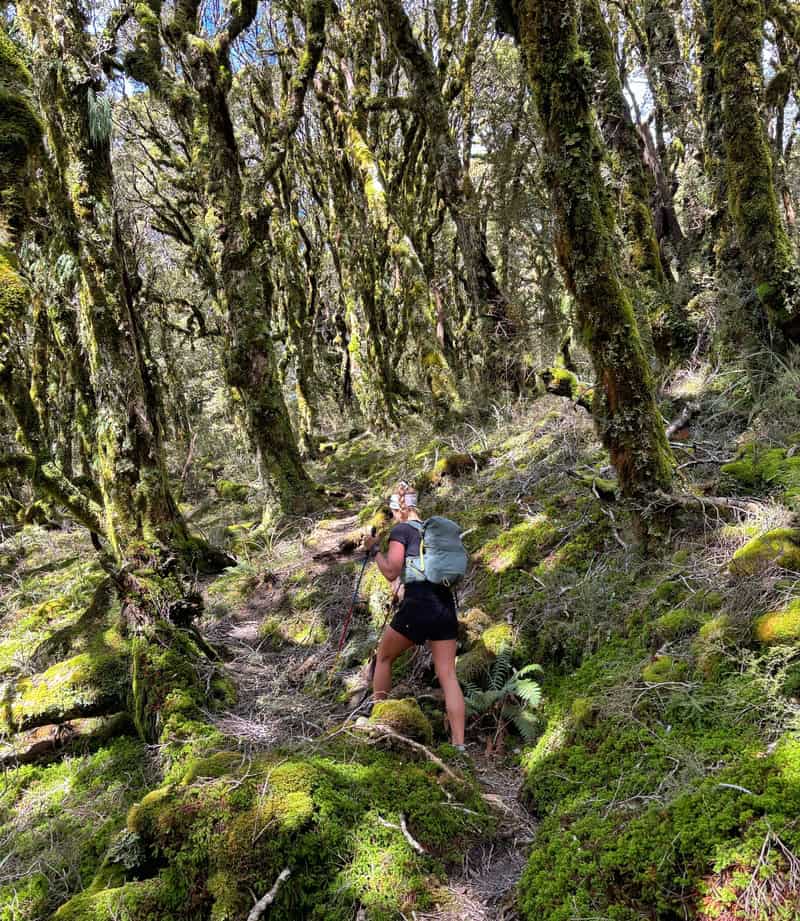 hiking up to the mataketake ranges