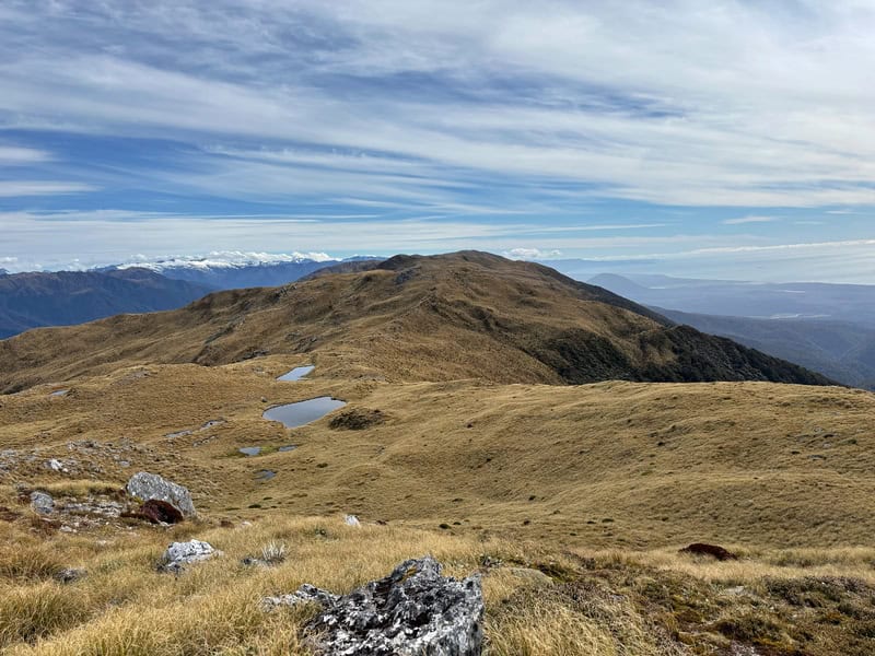 mataketake ranges west coast