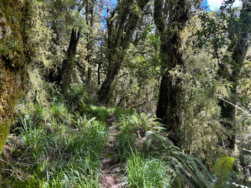 mica mine route on the uphill