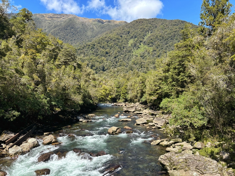 moeraki river from bridge over blowfly river