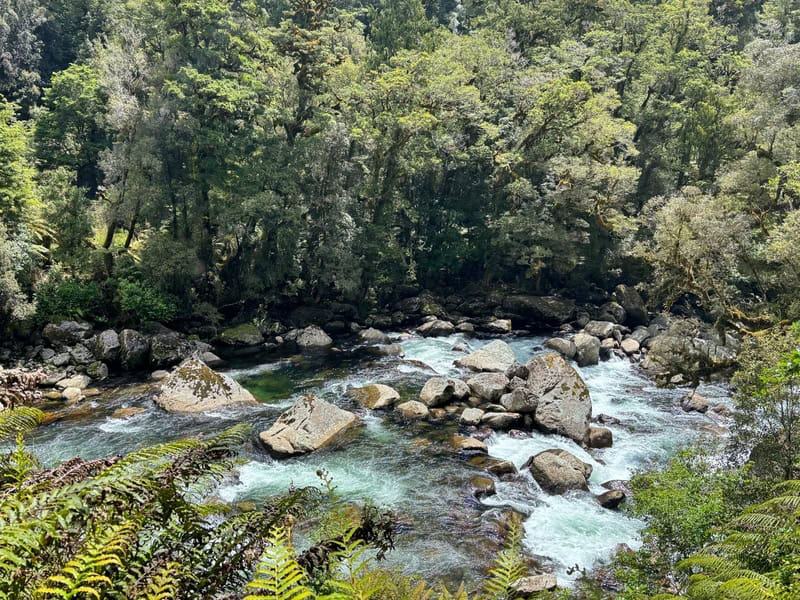 moeraki river