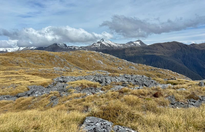 snow capped mountains in the distance