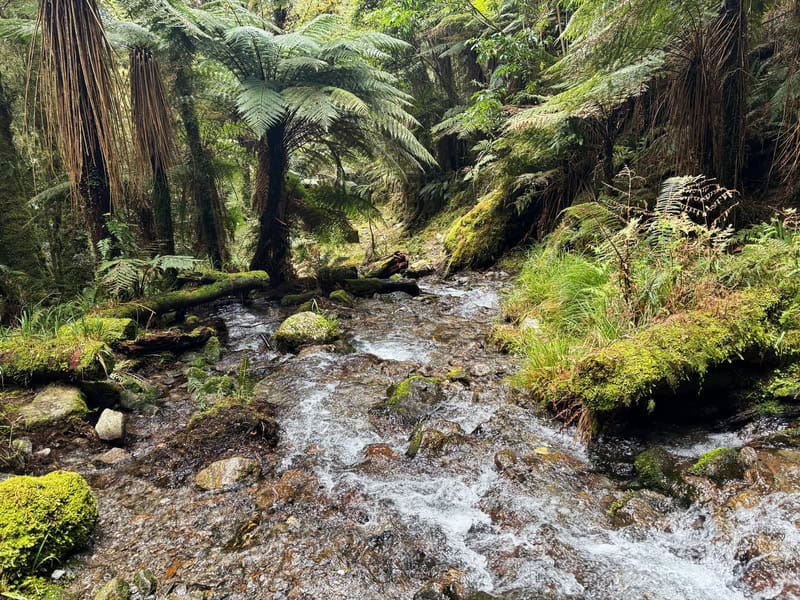 stream on the track on the hike to mataketake hut