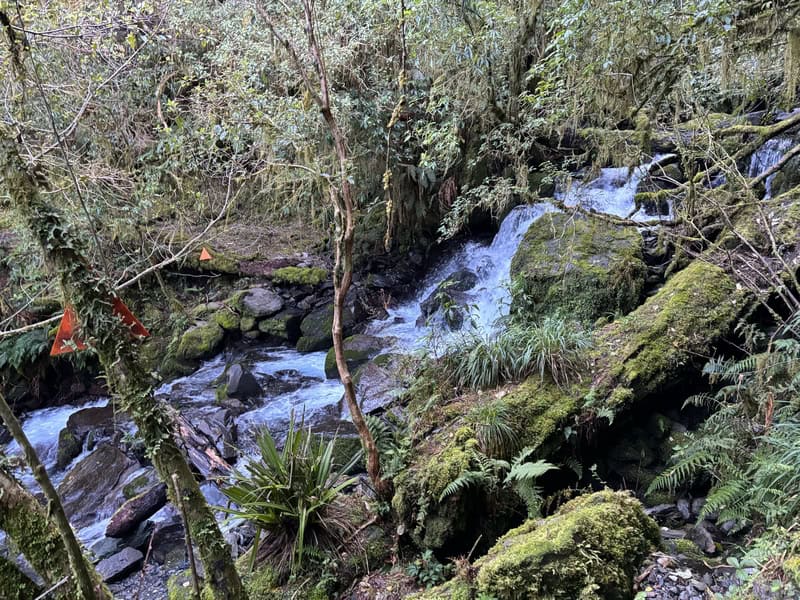 stream to cross on the historic haast to paringa cattle track