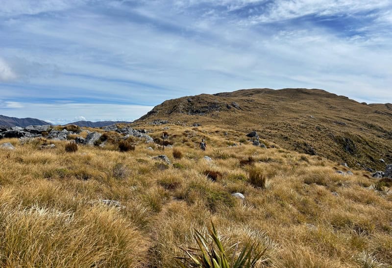the mica mine route on the way to mataketake hut