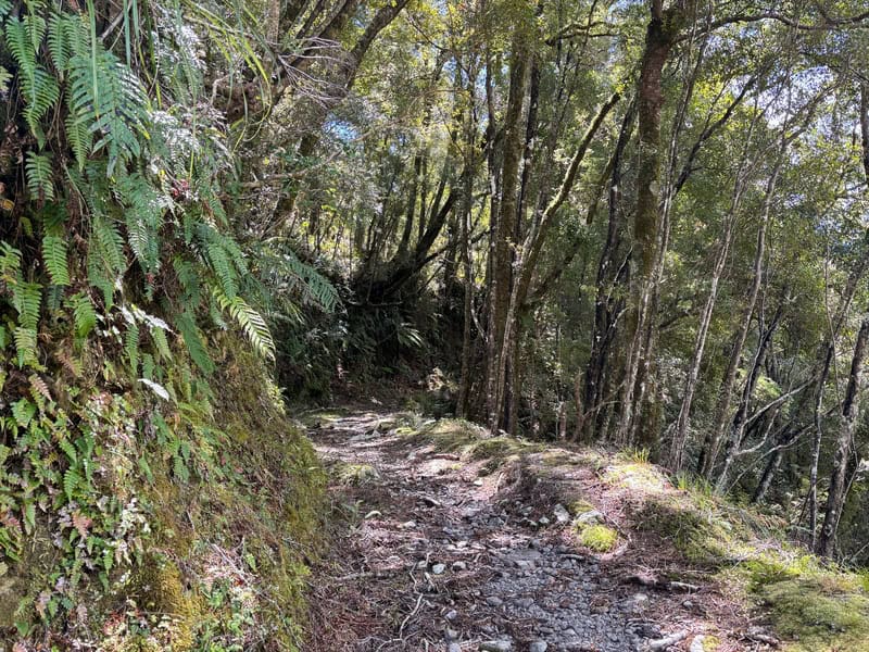 walking towards the mica mine route turnoff