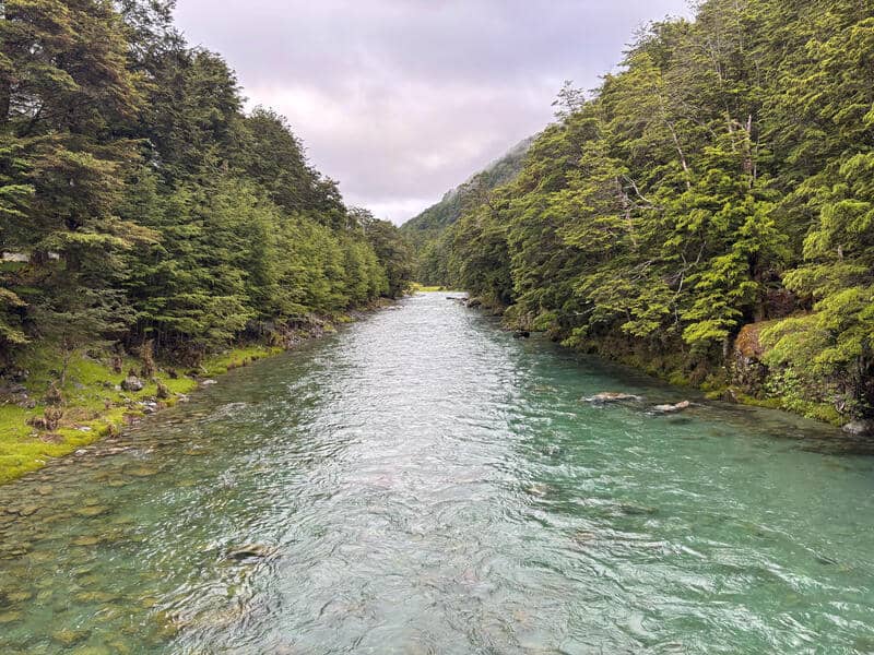 caples river on lake rere loop