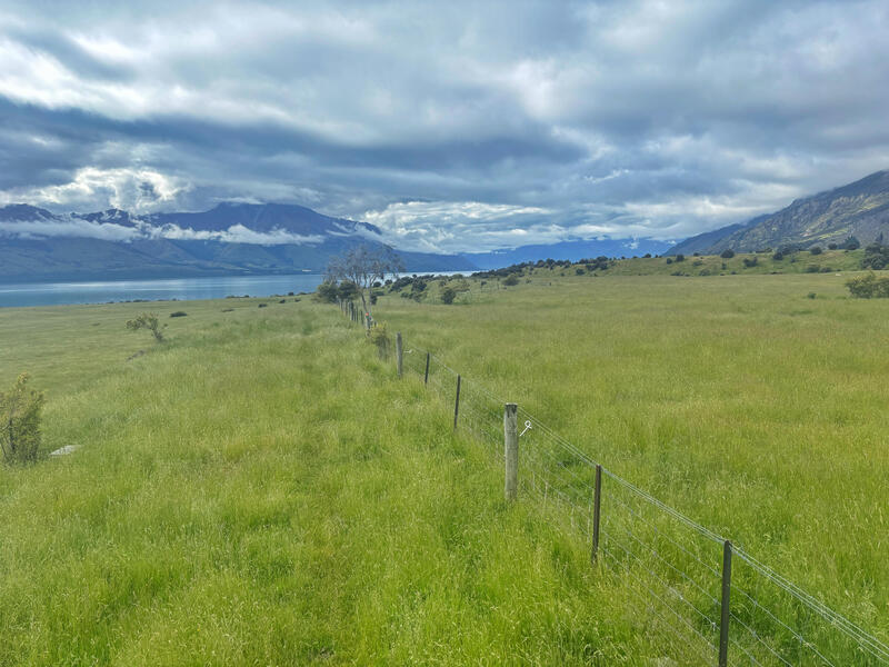 following the fenceline on the lake rere track