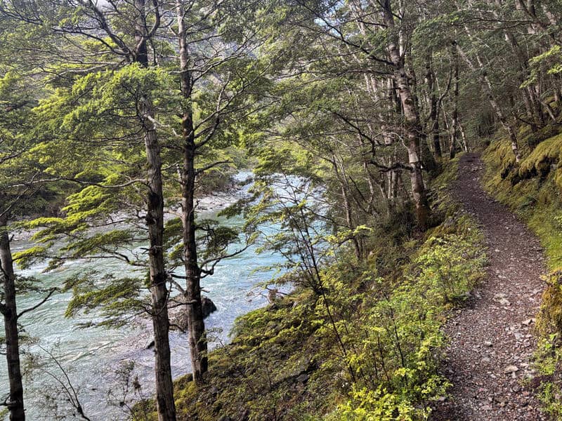 following the greenstone river on lake rere track