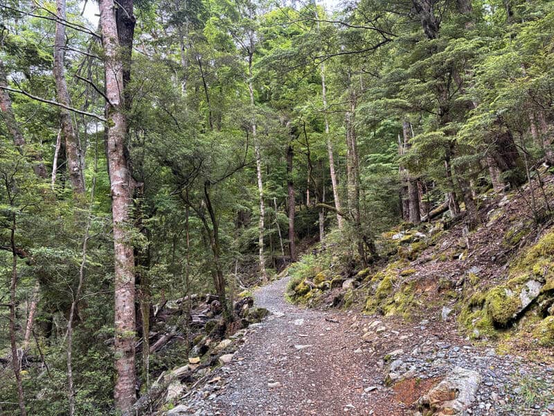 lake rere loop on greenstone track