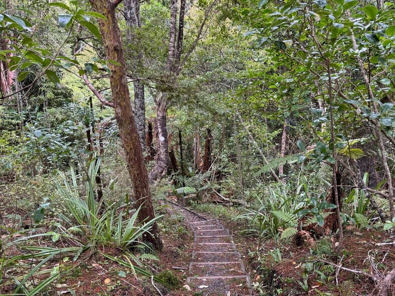 stairs on ulva island
