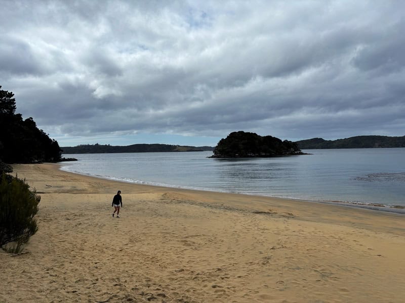 sydney cove new zealand