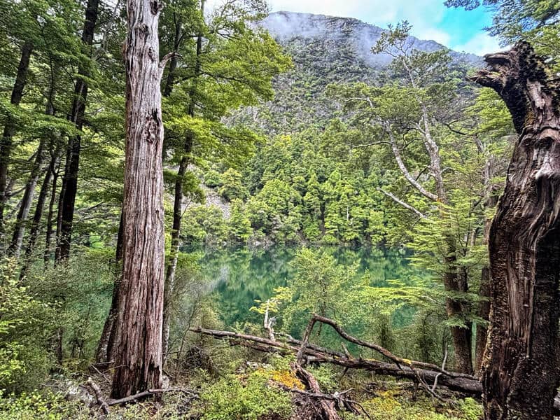 the trail beside lake rere