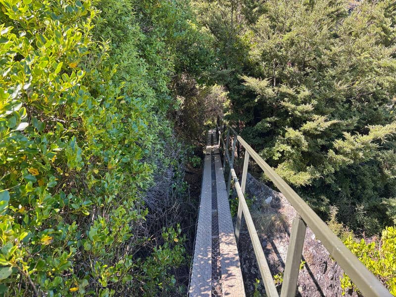 boarded walk wye creek