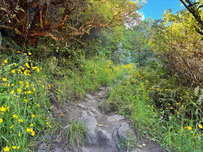 lower wye creek track