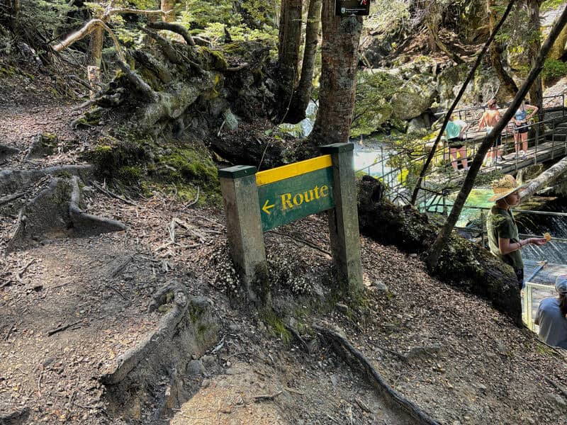 wye creek track to helipad turnoff