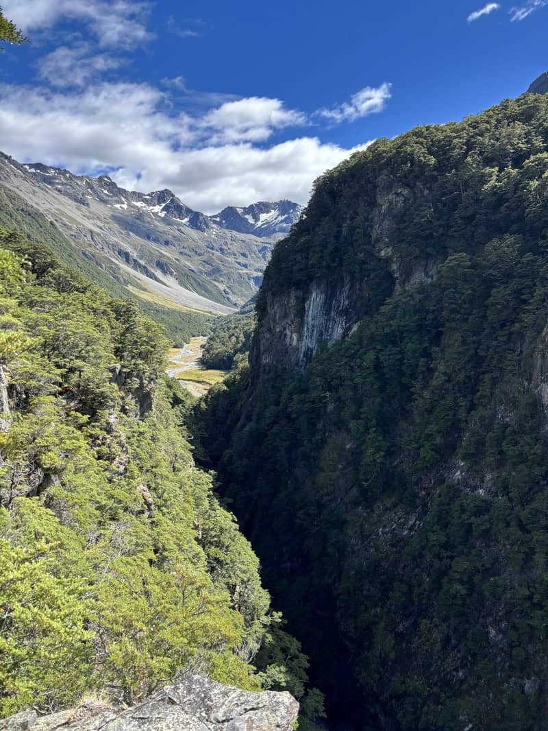 canyon on the creek track
