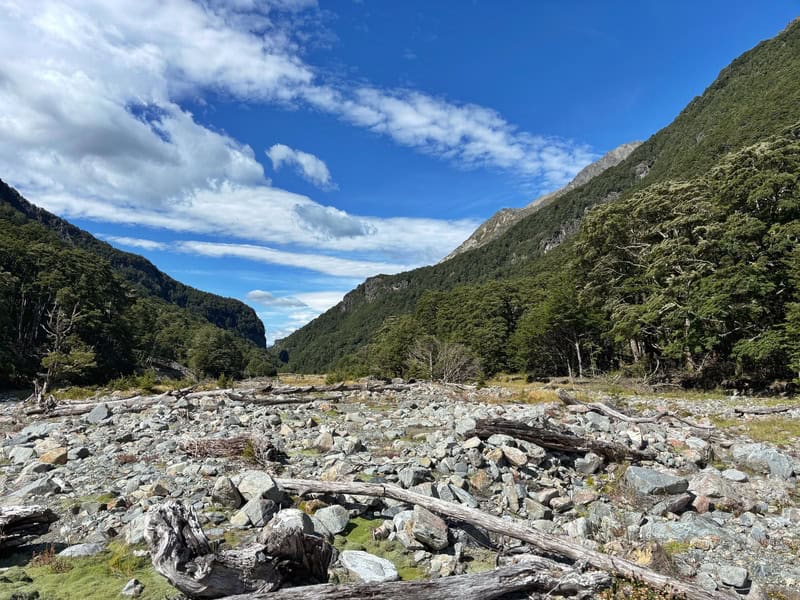 river bed on canyon creek track
