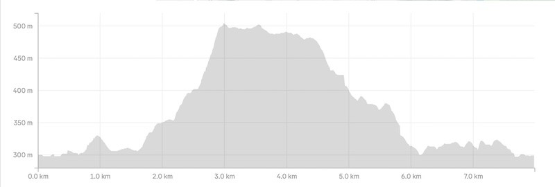 Basin view track elevation profile