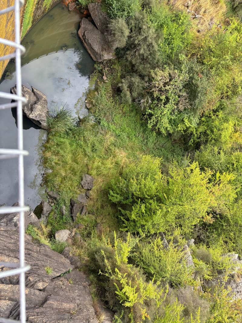 looking down butchers dam