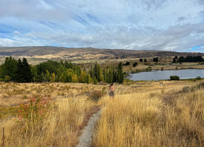on the basin view track