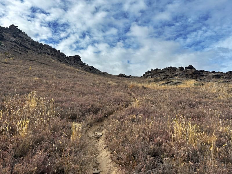 single track through thyme lined trails